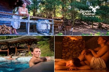Sauna Drome aanbieding